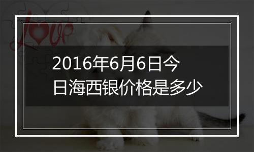 2016年6月6日今日海西银价格是多少