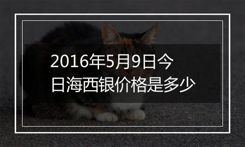2016年5月9日今日海西银价格是多少