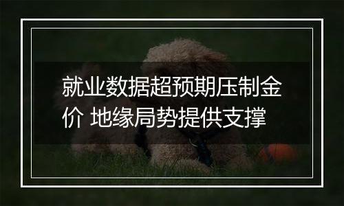 就业数据超预期压制金价 地缘局势提供支撑