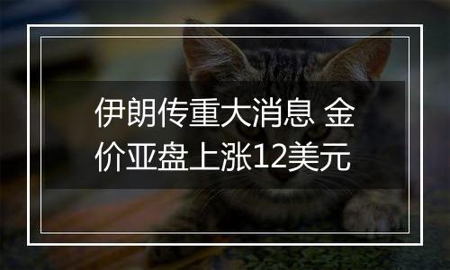 伊朗传重大消息 金价亚盘上涨12美元