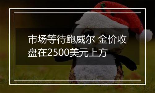 市场等待鲍威尔 金价收盘在2500美元上方