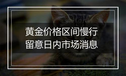 黄金价格区间慢行 留意日内市场消息