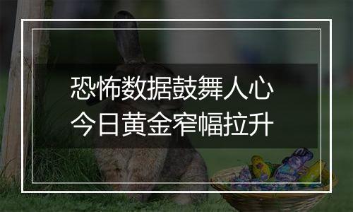恐怖数据鼓舞人心 今日黄金窄幅拉升