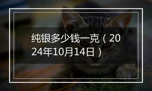 纯银多少钱一克(2024年10月14日)