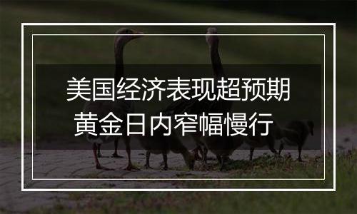 美国经济表现超预期 黄金日内窄幅慢行