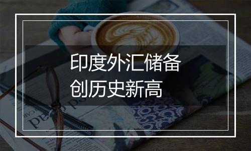 印度外汇储备创历史新高