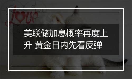 美联储加息概率再度上升 黄金日内先看反弹