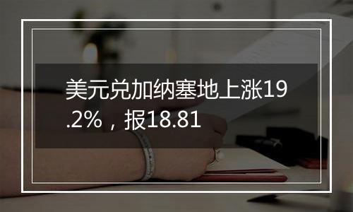 美元兑加纳塞地上涨19.2%,报18.81