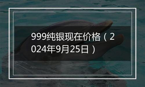 999纯银现在价格(2024年9月25日)