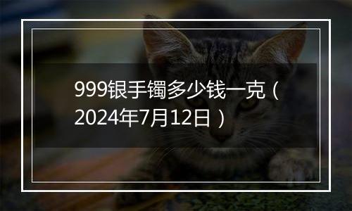 999银手镯多少钱一克(2024年7月12日)