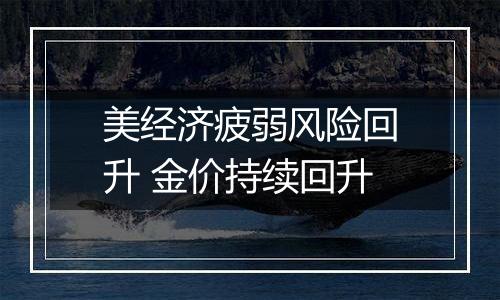 美经济疲弱风险回升 金价持续回升