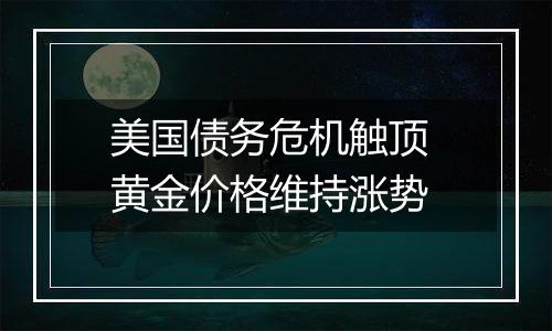 美国债务危机触顶 黄金价格维持涨势