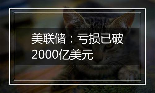 美联储:亏损已破2000亿美元