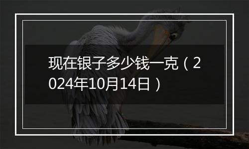 现在银子多少钱一克(2024年10月14日)