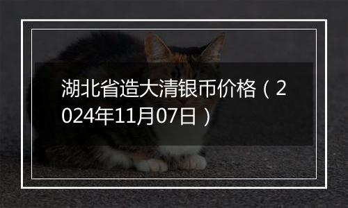 湖北省造大清银币价格(2024年11月07日)