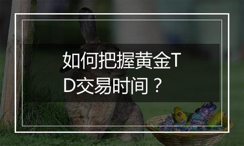 如何把握黄金TD交易时间？