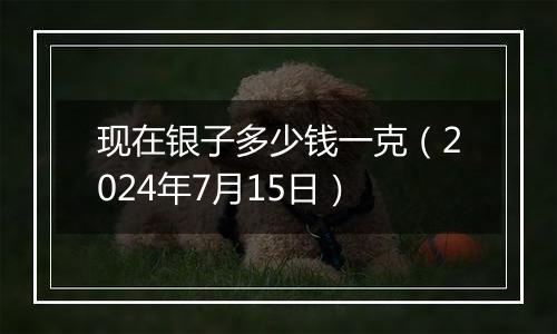 现在银子多少钱一克(2024年7月15日)