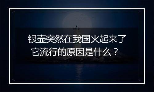 银壶突然在我国火起来了 它流行的原因是什么?