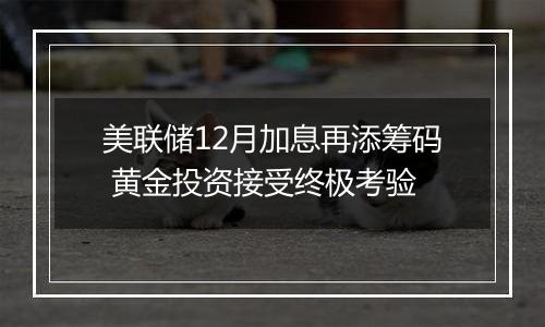 美联储12月加息再添筹码 黄金投资接受终极考验