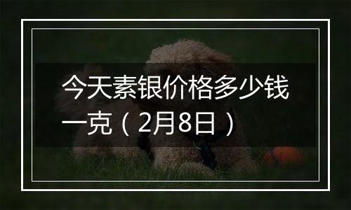 今天素银价格多少钱一克(2月8日)