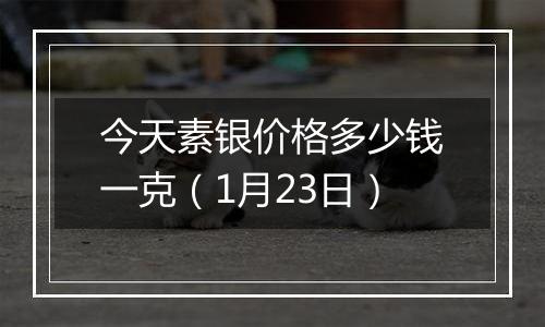 今天素银价格多少钱一克(1月23日)
