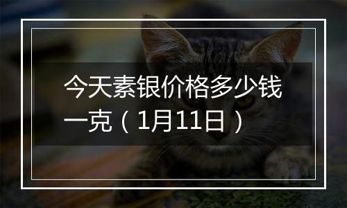 今天素银价格多少钱一克(1月11日)