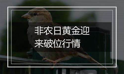 非农日黄金迎来破位行情