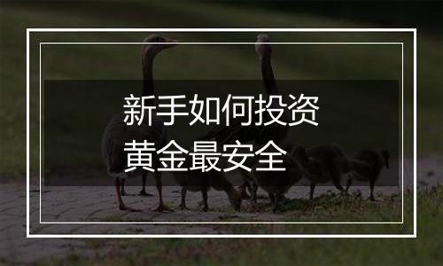 新手如何投资黄金最安全