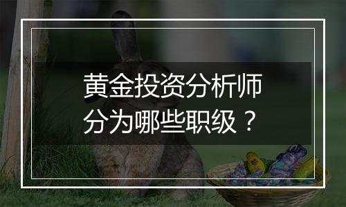 黄金投资分析师分为哪些职级？