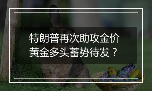 特朗普再次助攻金价 黄金多头蓄势待发？