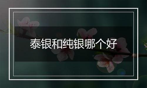 泰银和纯银哪个好