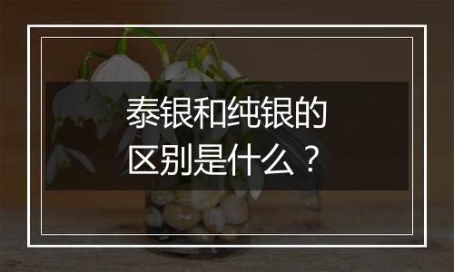 泰银和纯银的区别是什么?