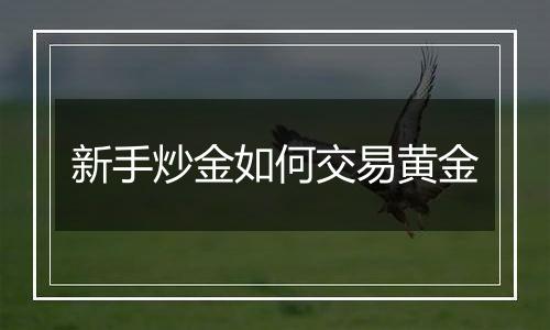 新手炒金如何交易黄金