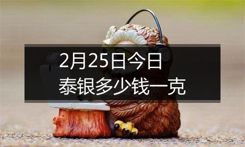 2月25日今日泰银多少钱一克