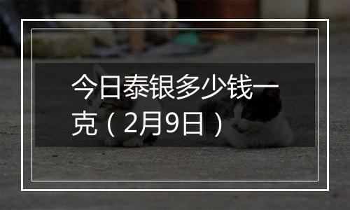 今日泰银多少钱一克(2月9日)