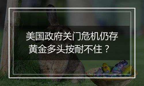 美国政府关门危机仍存 黄金多头按耐不住？