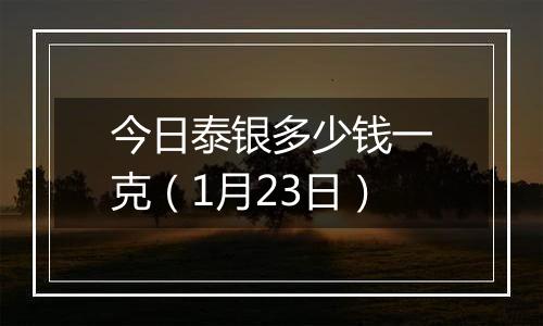 今日泰银多少钱一克(1月23日)