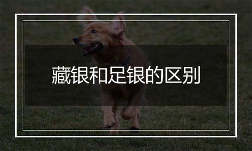 藏银和足银的区别