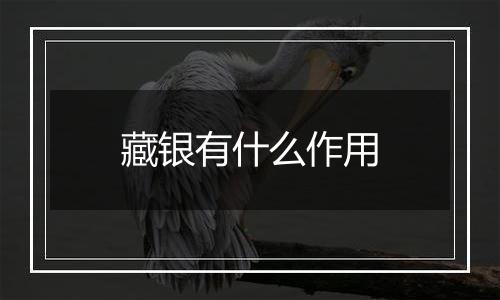 藏银有什么作用