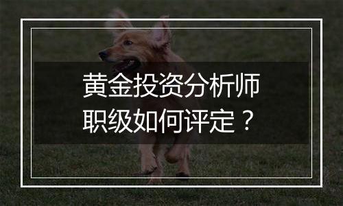黄金投资分析师职级如何评定？