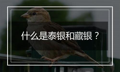 什么是泰银和藏银?