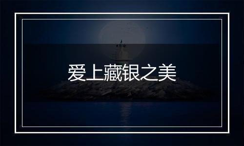 爱上藏银之美