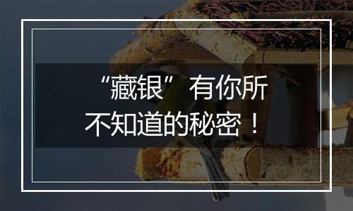 “藏银”有你所不知道的秘密!