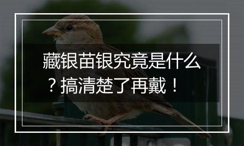 藏银苗银究竟是什么?搞清楚了再戴!