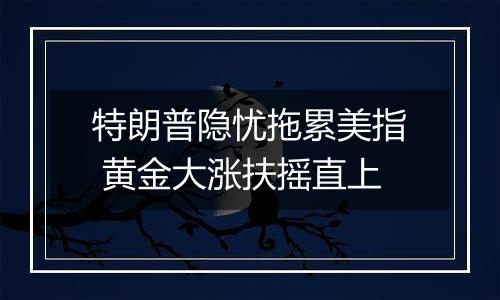 特朗普隐忧拖累美指 黄金大涨扶摇直上