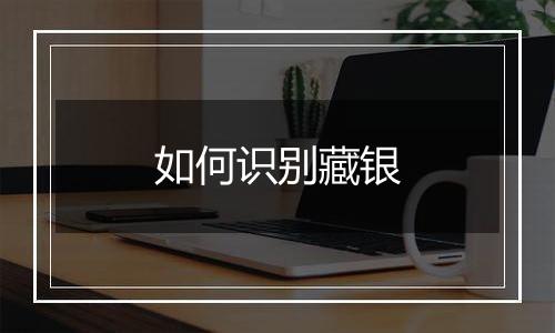 如何识别藏银