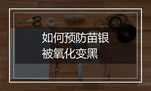 如何预防苗银被氧化变黑