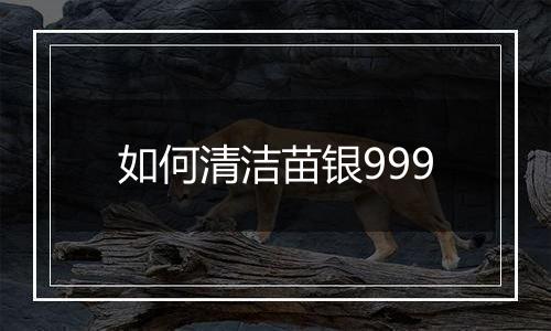 如何清洁苗银999