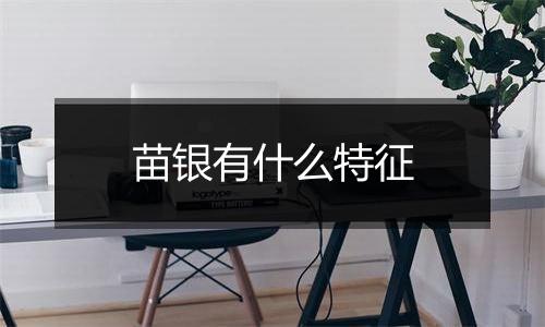 苗银有什么特征