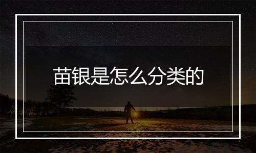 苗银是怎么分类的